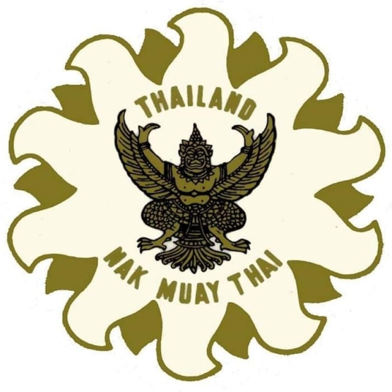 A Verdadeira História do Muay Thai no Brasil – Legado Nélio Naja - Eu Vivi Isso!